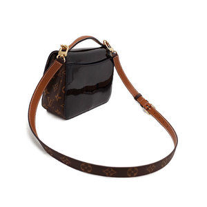 Louis Vuitton Cherrywood Bag
